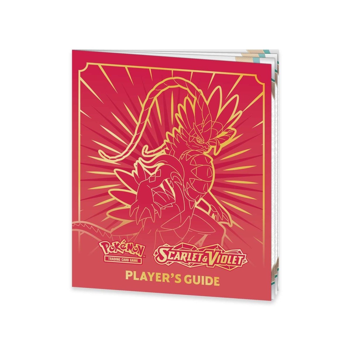 Pokemon TCG: Scarlet & Violet *Pokemon Center* Elite Trainer Box (Koraidon)