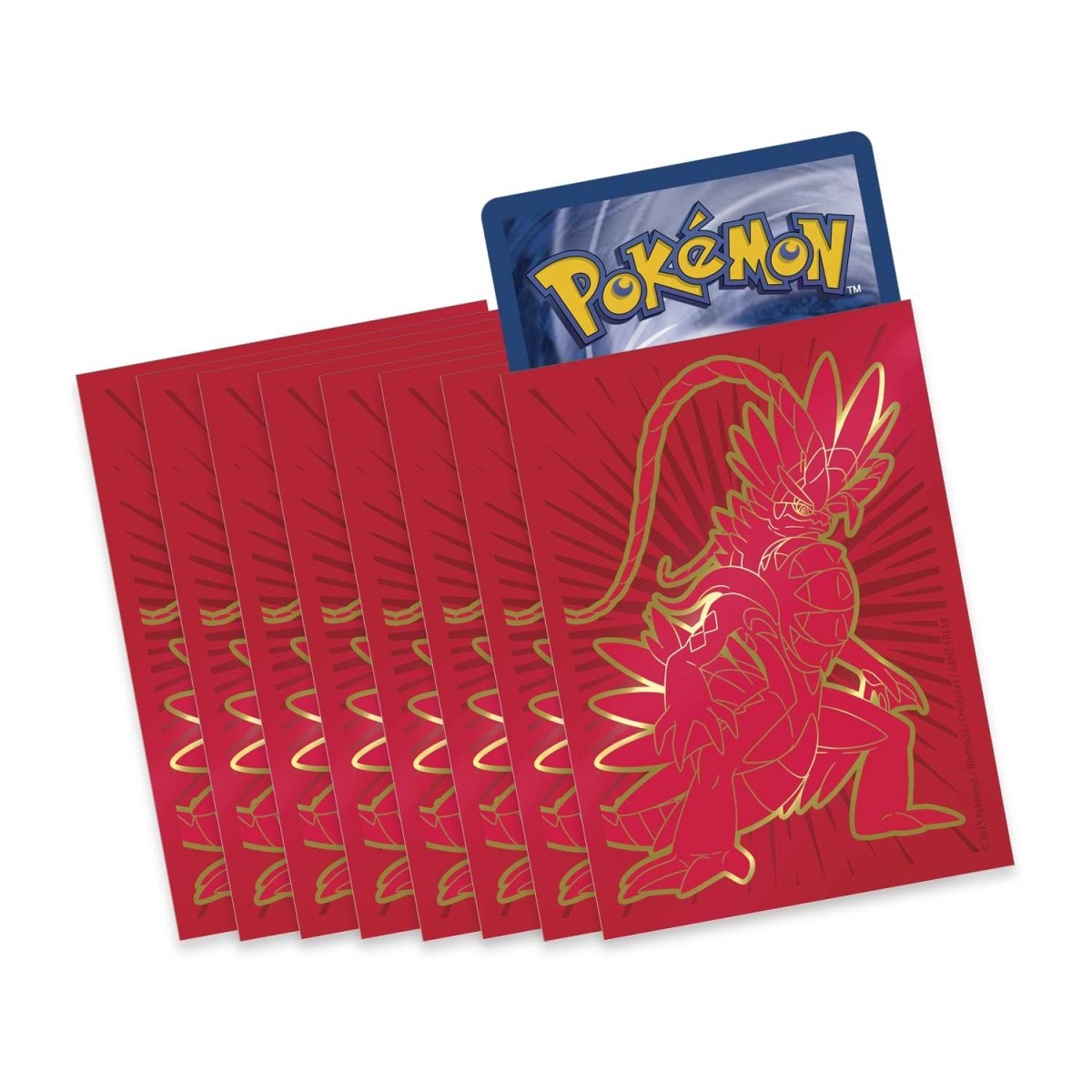 Pokemon TCG: Scarlet & Violet *Pokemon Center* Elite Trainer Box (Koraidon)