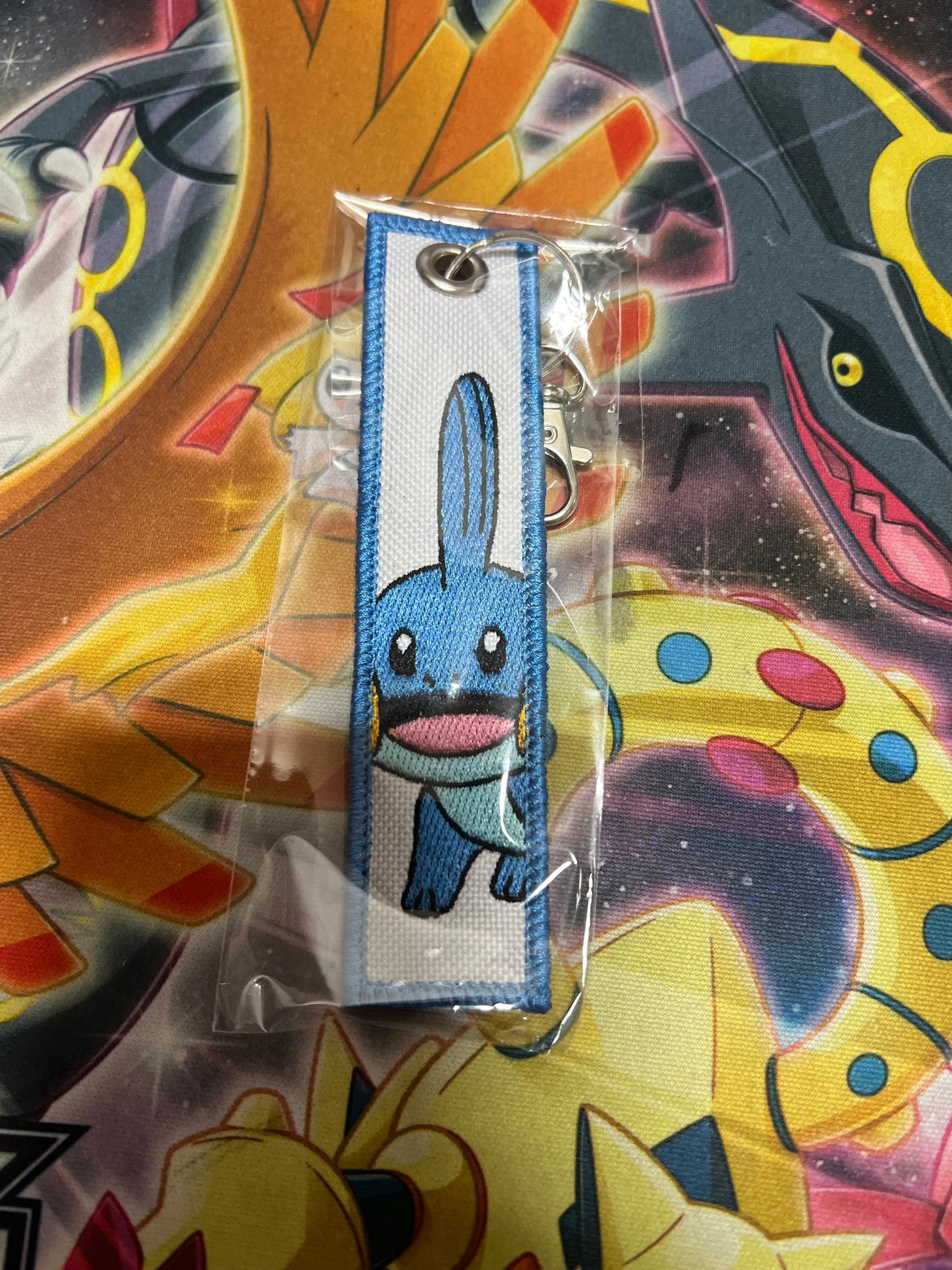 Pokemon Jet Tags